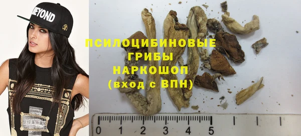 мет Арсеньев
